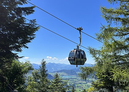 <p>Die Gondelbahn führt von der Talstation auf ca. 1500m&nbsp;</p>